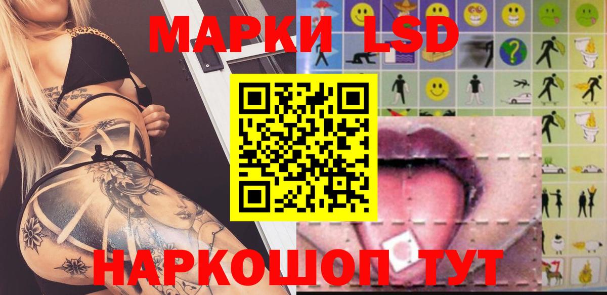 Новозыбков  omg рабочий сайт  Вход с VPN  LSD-25 экстази ecstasy  Лсд 25 экстази кислота 
