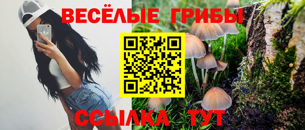 Псилоцибиновые грибы ЛСД Новозыбков