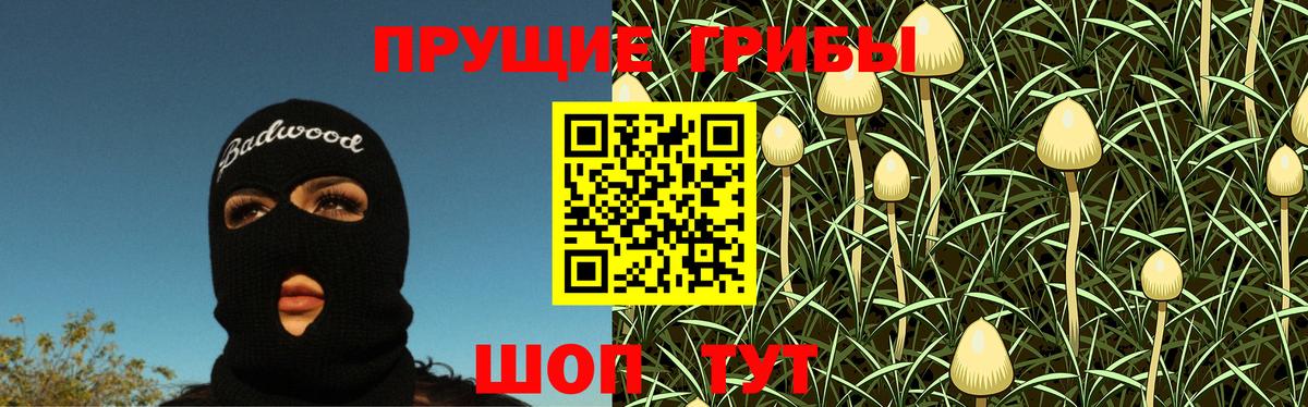 Псилоцибиновые грибы мухоморы  Вход с VPN  Новозыбков 